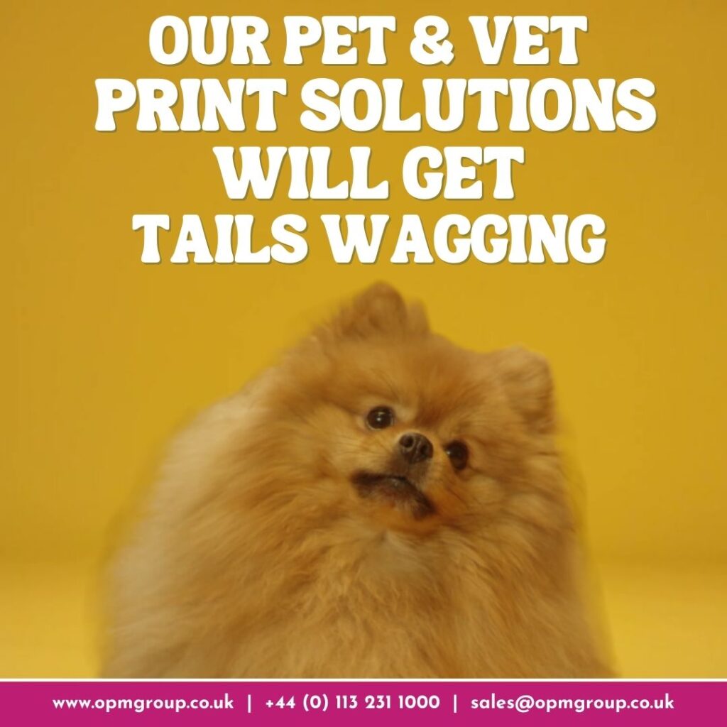 A mustard-coloured background with a brown dog in the middle. The bottom of the screen says sales@opmgroup.co.uk, www.opmgroup.co.uk and 0113 321 1000