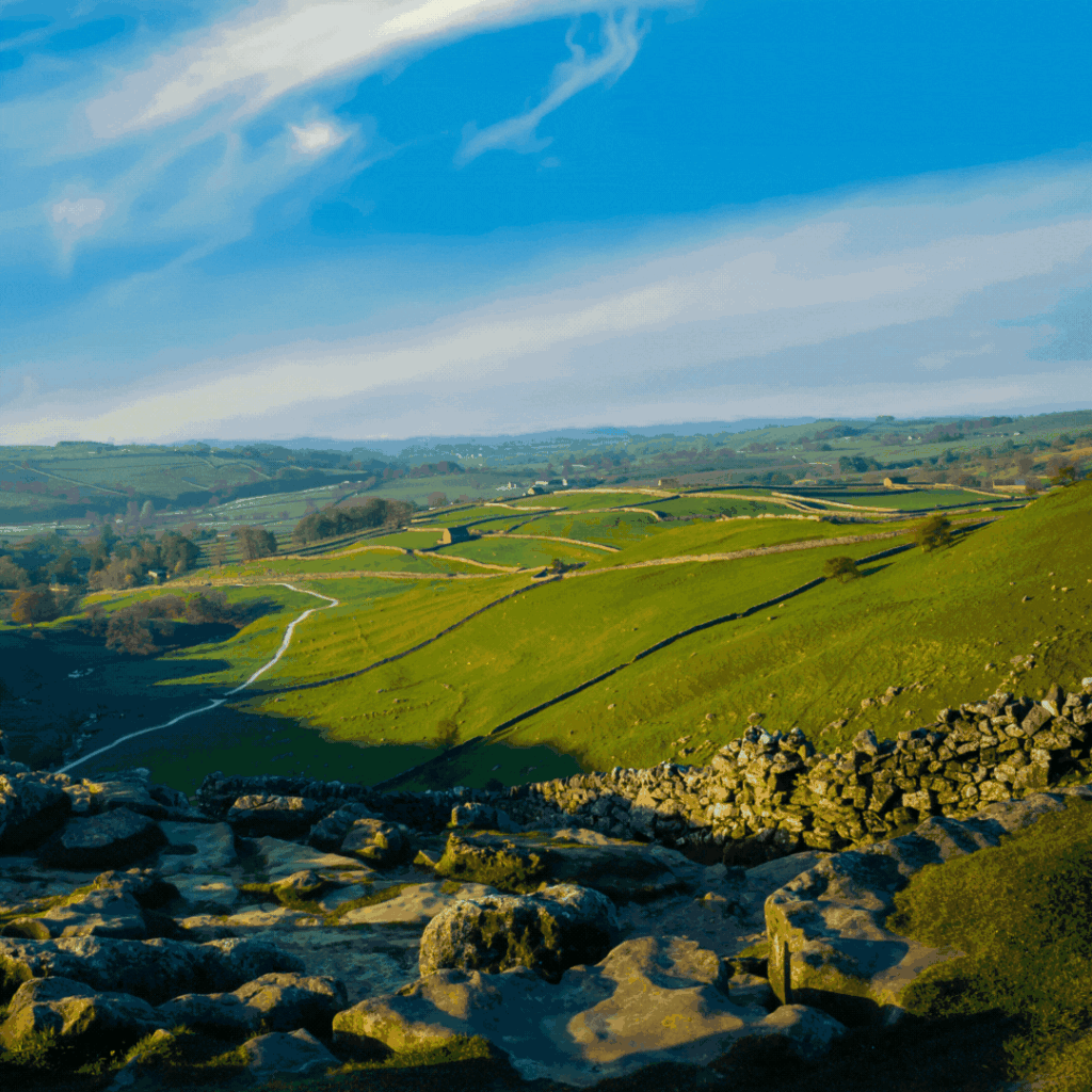 The background shows a rural Yorkshire countryside on a sunny day.It has a blue tint over the background image.There is white text at the top of the images which says 'Happy Yorkshire Day!'.The Yorkshire rose is in the middle of the square.At the bottom, there is a blue strip which has the OPM Group logo in the bottom left corner, followed by OPM Group's contact details. Telephone - 0113 231 1000E-mail. - sales@opmgroup.co.uk Website - www.opmgroup.co.uk